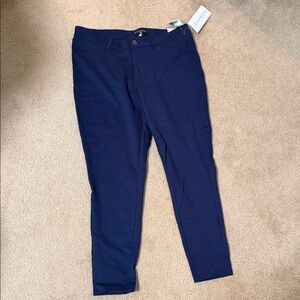 Dictionary Blue Jodi Ponte Skinny Pant
